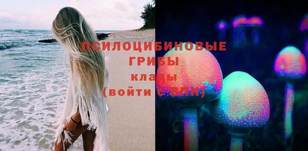 прущая мука Алексин