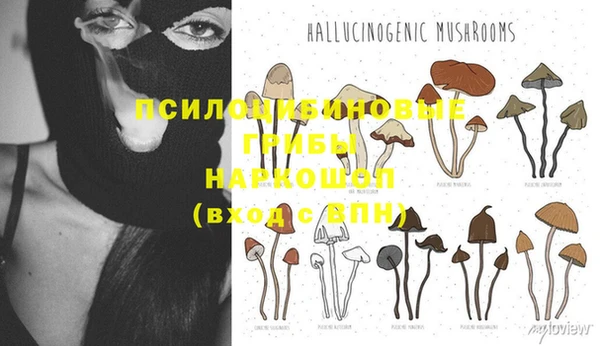 ECSTASY Арсеньев